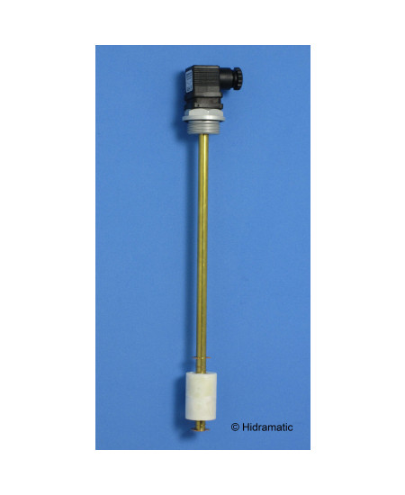 Level switch EUROSWITCH P31300100, Vertical fixing, 300 mm