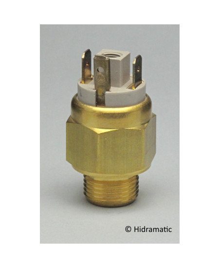 Thermostat bimétallique EUROSWITCH 5062616095, 95°C, NF, 250 Vac, M16x1,5
