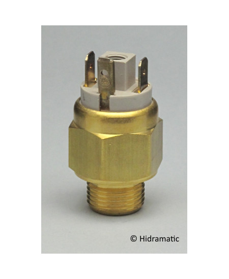 Bimetallic thermostat EUROSWITCH 5061608035