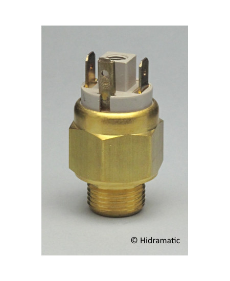 Bimetall-Thermostat EUROSWITCH 5062608045
